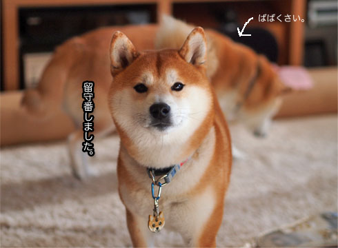 27日ブログ5.jpg
