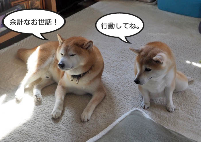 13日夜ブログ５