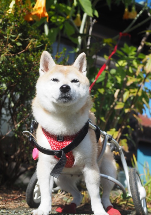 10日ブログ６