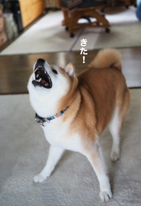 15日ブログ５