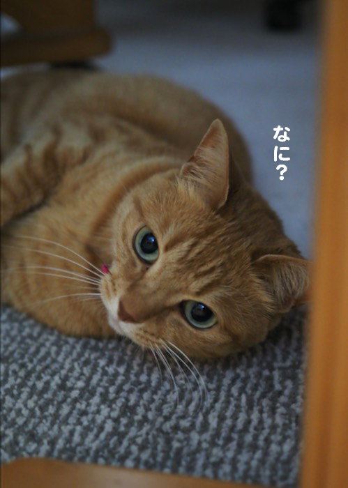 7日ブログ５