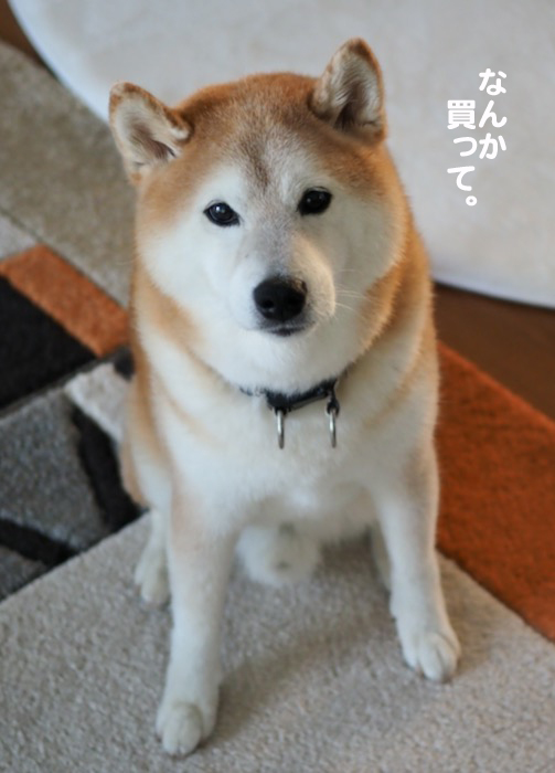 1日ブログ３