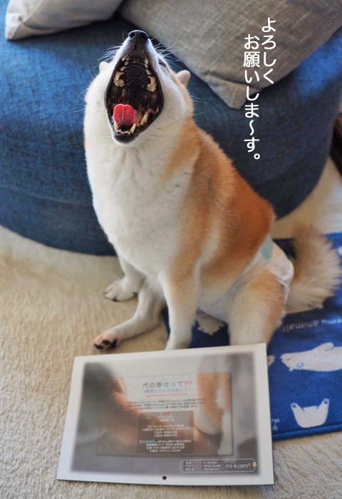 29日ブログ６