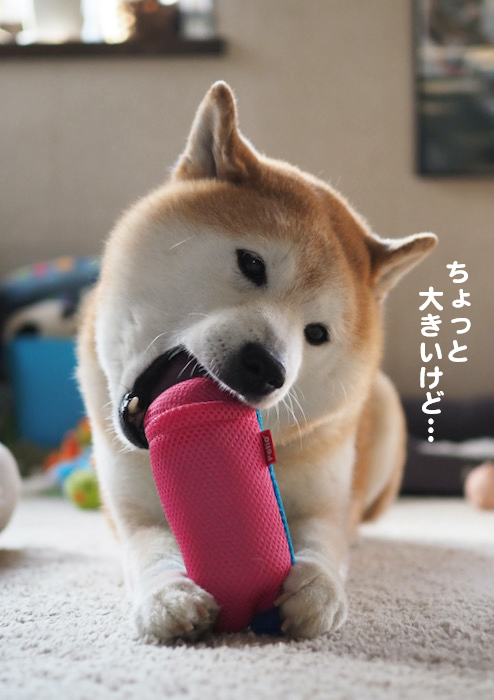 25日夜ブログ３
