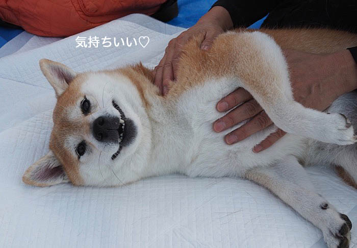 2日午後ブログ８