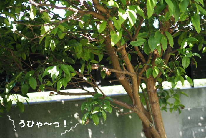 29日午前ブログ１