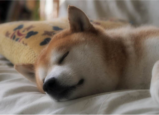 26日ブログ７.jpg