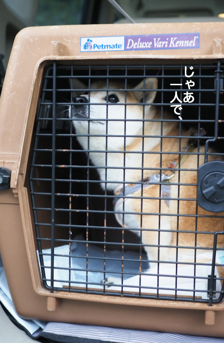 14日ブログ５