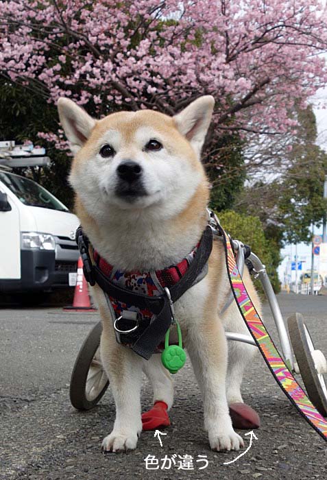 25日ブログ３