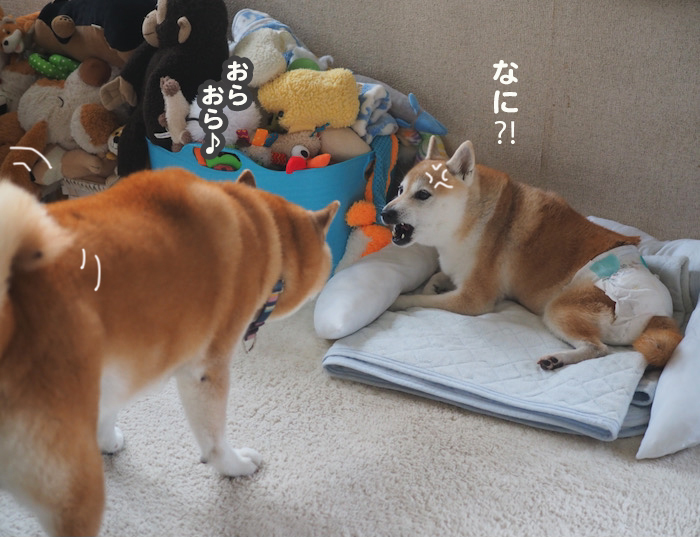 25日ブログ４