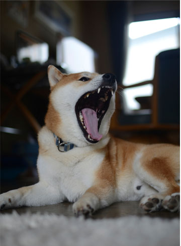 29日ブログ5.jpg