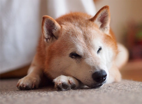 14日ブログ2.jpg