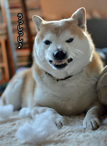 24日ブログ2.jpg