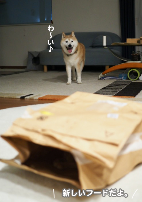 25日夕ブログ３