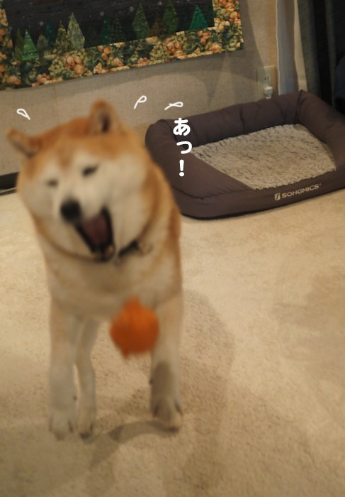 25日夕ブログ１４