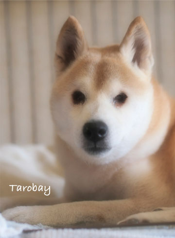 29日ブログ9.jpg