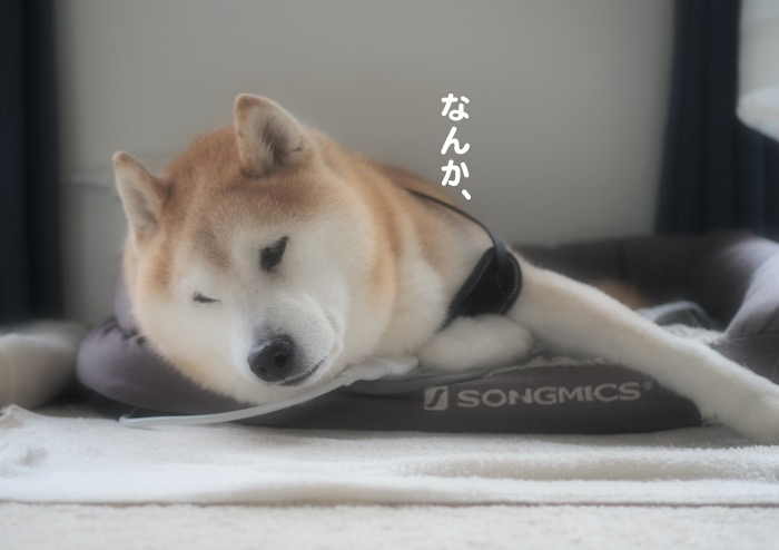 30日午前ブログ２