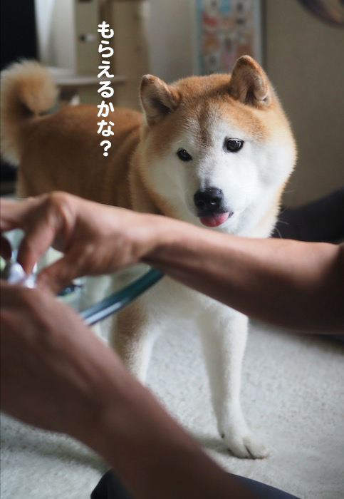 18日夕ブログ2