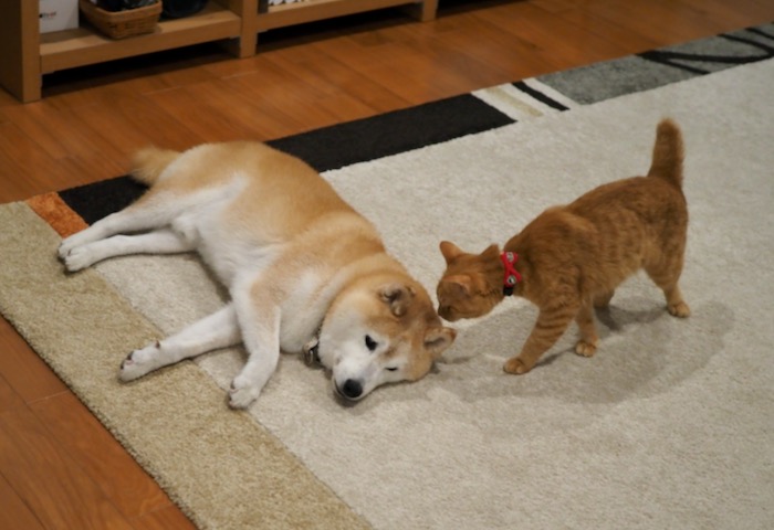 7日午前ブログ２