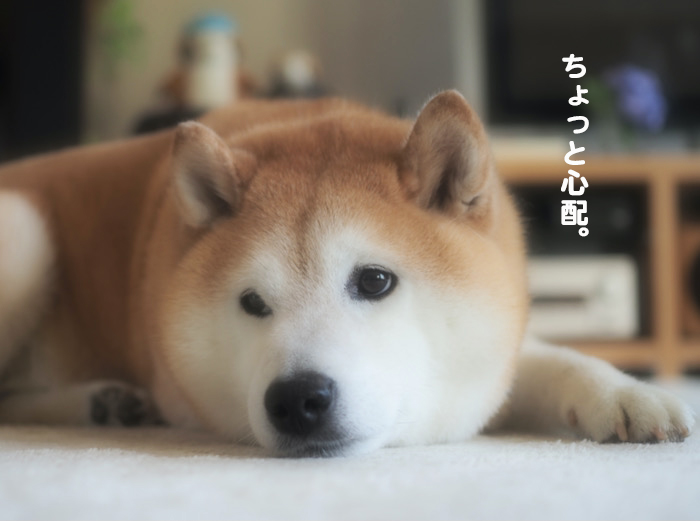 27日ブログ6