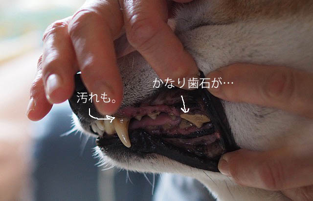 9日ブログ3
