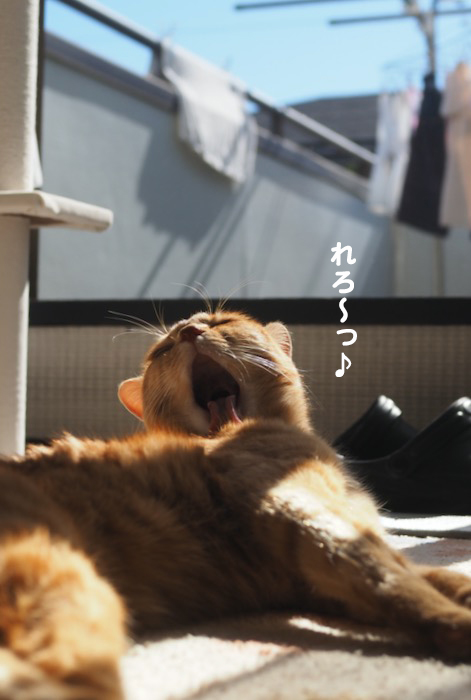 1日昼ブログ４