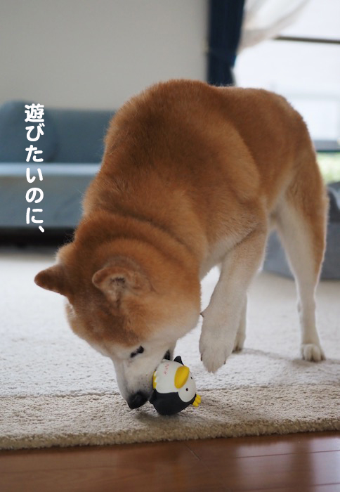 8日夕ブログ２