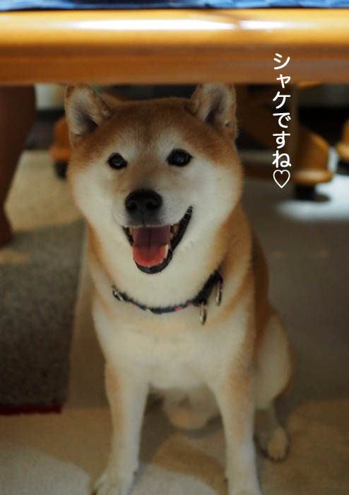 17日夜ブログ４