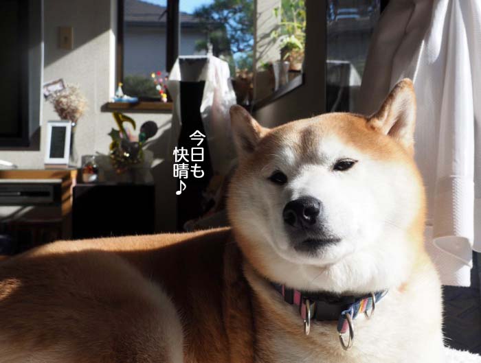 3日夜ブログ２