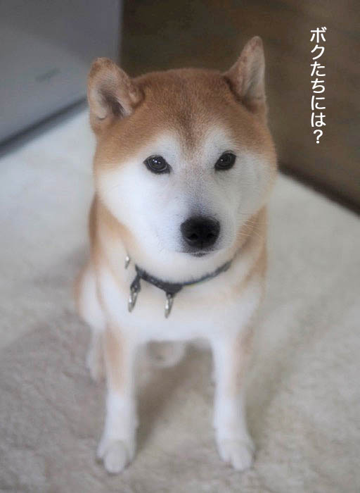 17日ブログ９