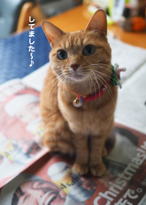 24日ブログ３