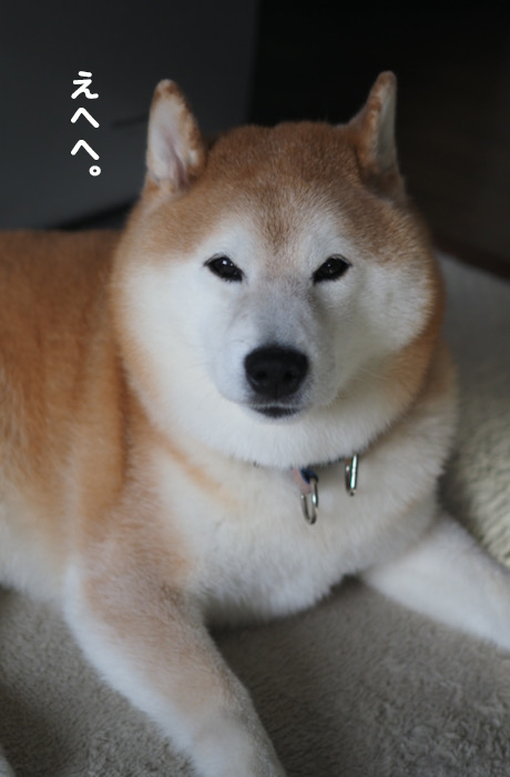 11日夕ブログ１１