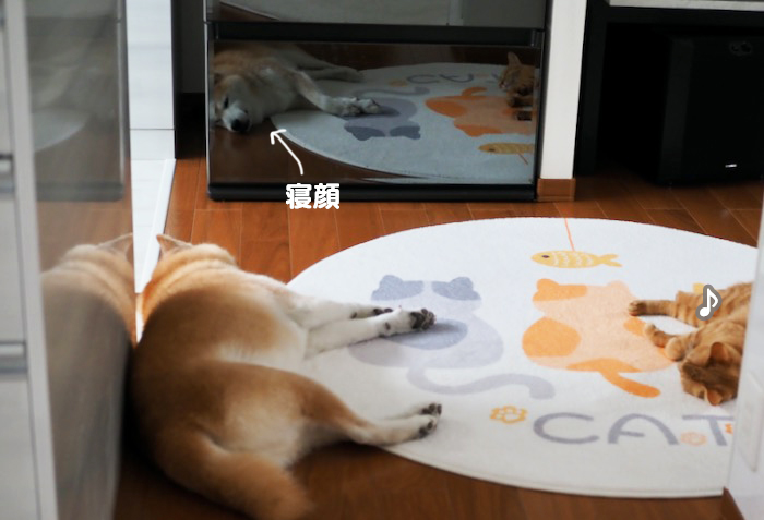 ４日午前ブログ５