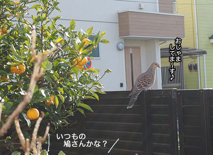 10日ブログ２