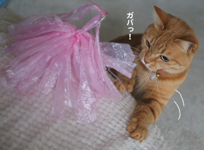 28日夕ブログ５