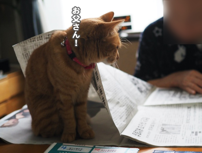 23日ブログ2