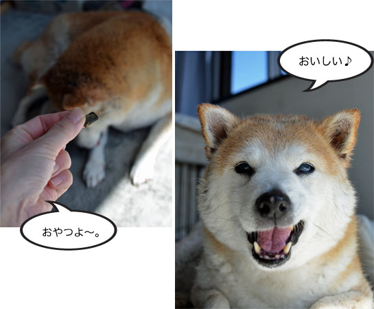 18日ブログ7.jpg