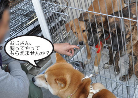 4日ブログ14.jpg