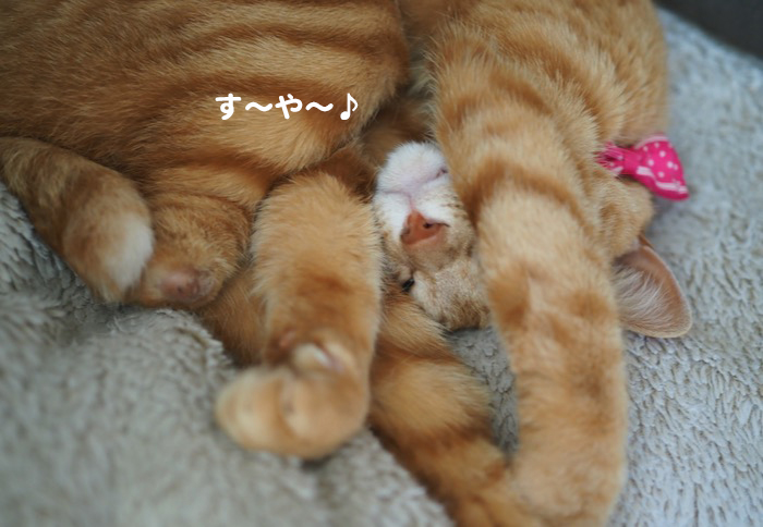 30日夕ブログ３