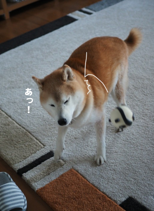19日ブログ３