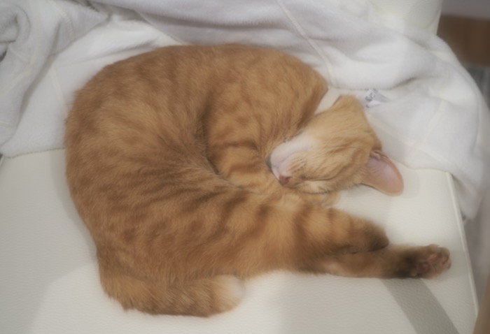 9日ブログ１