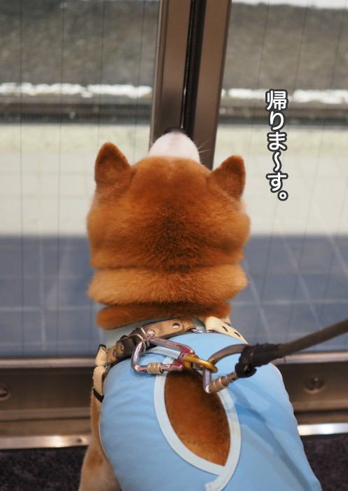 14日夜ブログ7