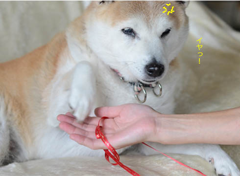 24日ブログ5.jpg