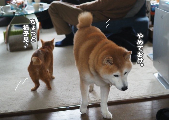 4日ブログ４