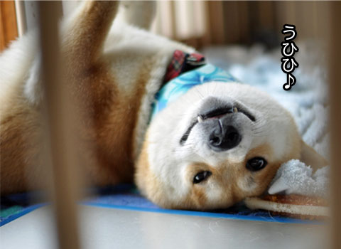 30日ブログ2.jpg