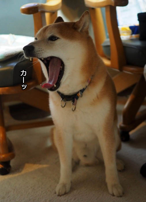 24日夕ブログ５