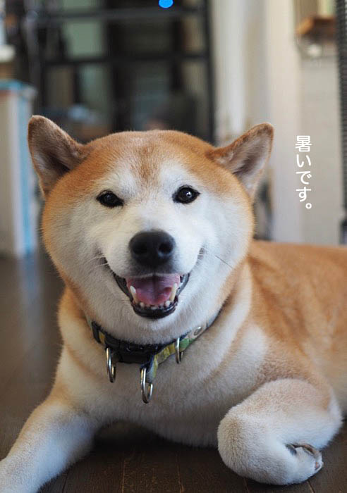 26日午前ブログ５