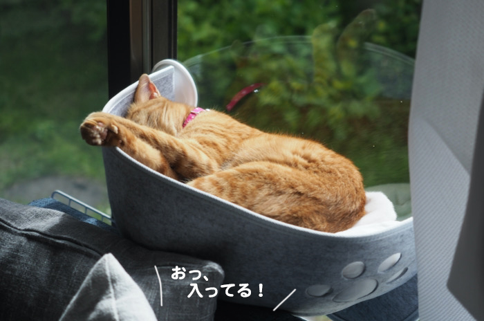 9日夕ブログ４