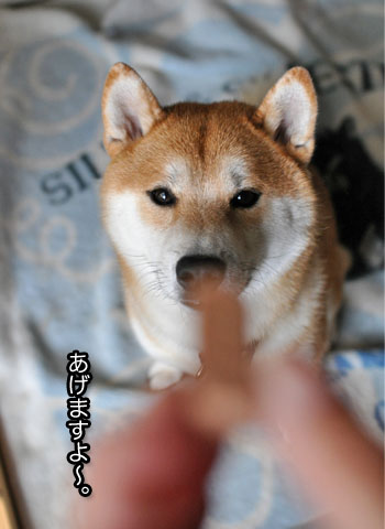 30日ブログ10.jpg