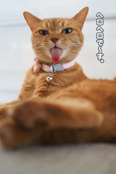 5日夕ブログ３